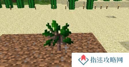 我的世界 树苗 怎么种,轻松培育茂盛大树