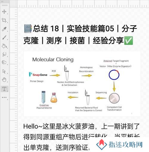 克隆装备技能选择攻略（充分利用克隆技能，打造最强装备）