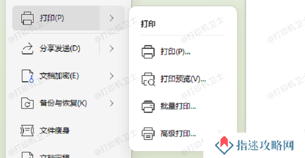 预览打印文件