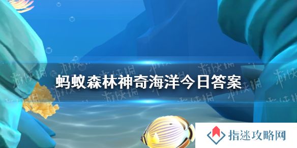 你知道吗海龟的眼泪通常 神奇海洋4月10日答案