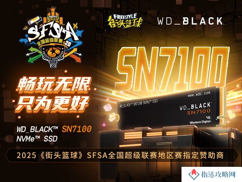 畅玩无限   WD_BLACK助力《街头篮球》SFSA全国超级联赛