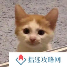 黄金服搬砖工自曝：打副本一天收入上千，能买2克黄金