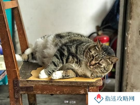 创意问候语：特别致意
