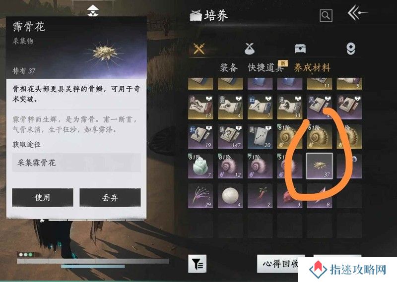 燕云新奇术箫吟千浪 河西霈骨花奇术升级速刷